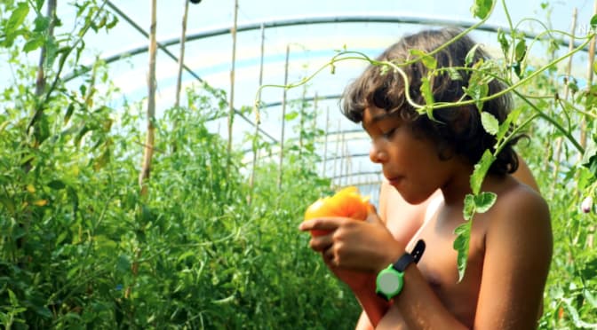La liberté en famille : Vivez le naturisme ensemble